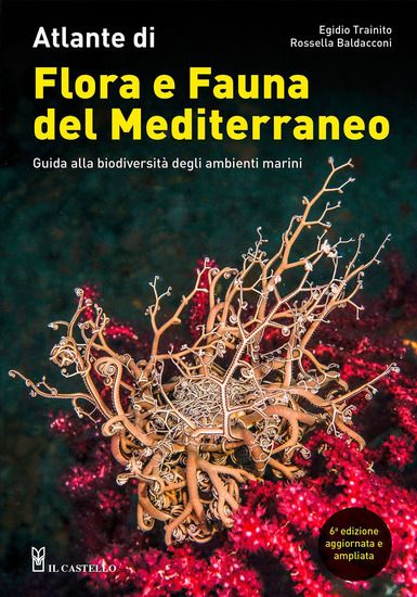 Immagine di ATLANTE DI FLORA E FAUNA DEL MEDITERRANEO. GUIDA ALLA BIODIVERSITA` DEGLI AMBIENTI MARINI. EDIZ....