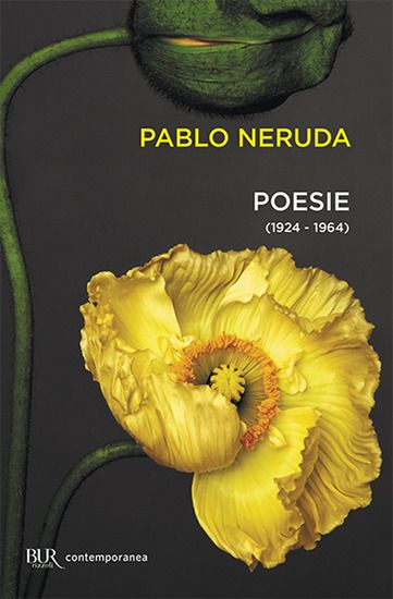 Immagine di POESIE 1924-1964