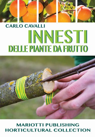 Immagine di INNESTI DELLE PIANTE DA FRUTTO