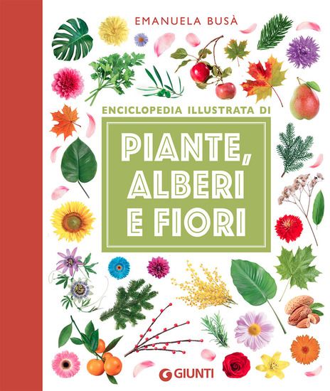 Immagine di ENCICLOPEDIA ILLUSTRATA DI PIANTE, ALBERI E FIORI