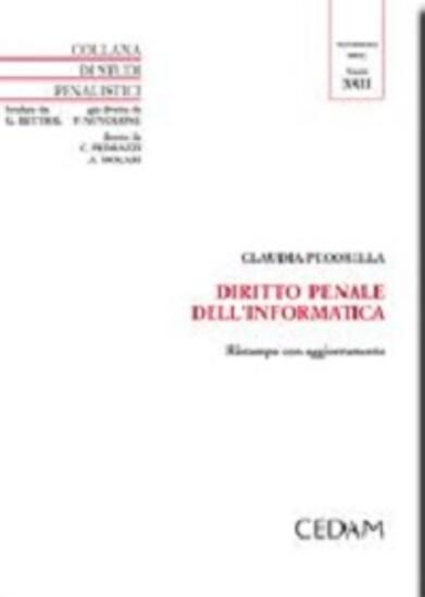 Immagine di DIRITTO PENALE DELL`INFORMATICA (IL)