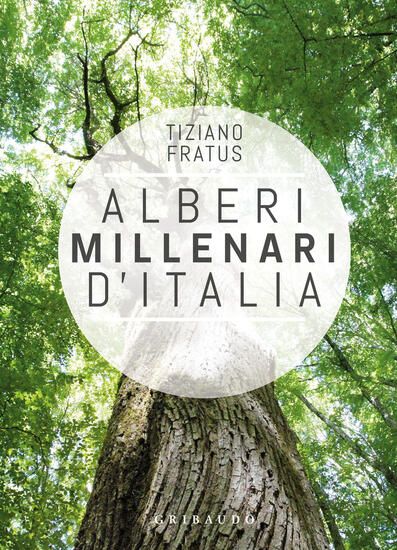 Immagine di ALBERI MILLENARI D`ITALIA. UN VIAGGIO FRA I BOSCHI NASCOSTI. EDIZ. ILLUSTRATA