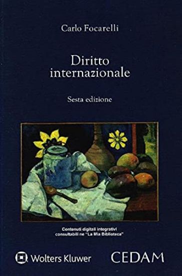 Immagine di DIRITTO INTERNAZIONALE