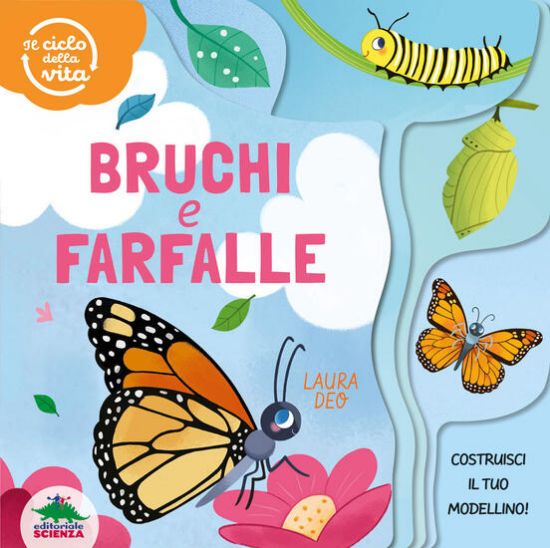 Immagine di BRUCHI E FARFALLE. IL CICLO DELLA VITA