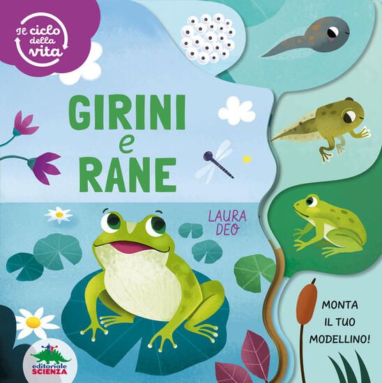 Immagine di GIRINI E RANE. IL CICLO DELLA VITA.