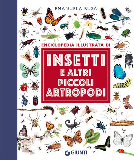 Immagine di INSETTI E ALTRI PICCOLI ARTROPODI