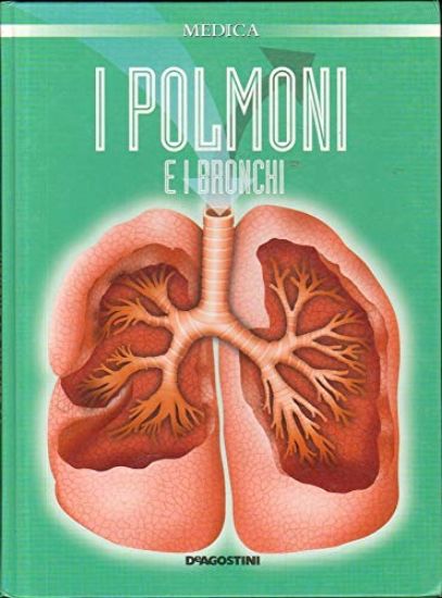 Immagine di I POLMONI E I BRONCHI