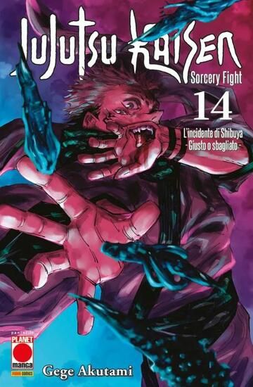 Immagine di JUJUTSU KAISEN. SORCERY FIGHT 14 - VOLUME 14