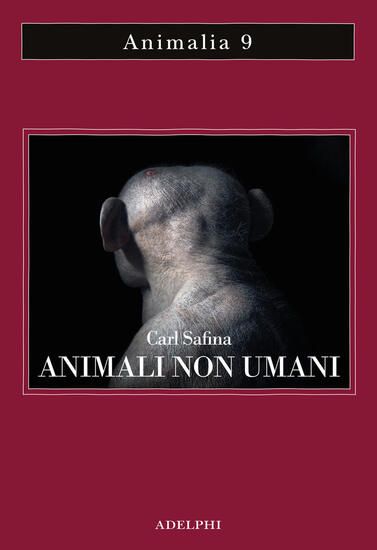 Immagine di ANIMALI NON UMANI