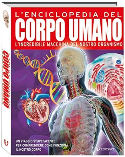 Immagine di GRANDE ENCICLOPEDIA DEL CORPO UMANO. CONOSCERE IL PROPRIO CORPO E MANTENERSI IN SALUTE. PRIMO SA...