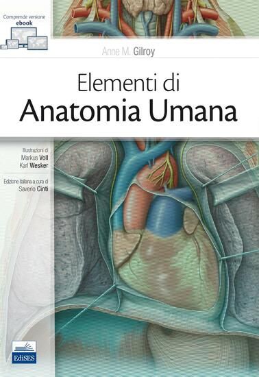 Immagine di ELEMENTI DI ANATOMIA UMANA. CON CONTENUTO DIGITALE (FORNITO ELETTRONICAMENTE)