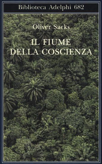 Immagine di FIUME DELLA COSCIENZA (IL)