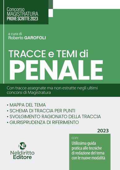 Immagine di TRACCE E TEMI DI PENALE PER IL CONCORSO IN MAGISTRATURA 2023