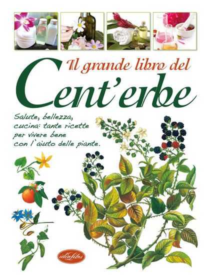 Immagine di GRANDE LIBRO DEL CENT`ERBE (IL)