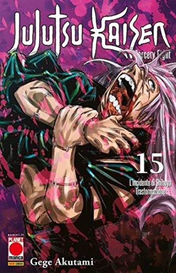 Immagine di JUJUTSU KAISEN. SORCERY FIGHT - VOLUME 15