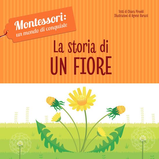 Immagine di STORIA DI UN FIORE. MONTESSORI: UN MONDO DI CONQUISTE. EDIZ. A COLORI (LA)