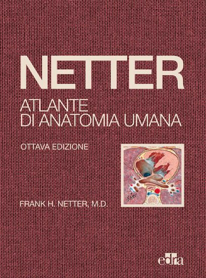 Immagine di NETTER. ATLANTE DI ANATOMIA UMANA