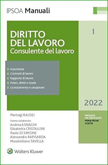 Immagine di DIRITTO DEL LAVORO. CONSULENTE DEL LAVORO