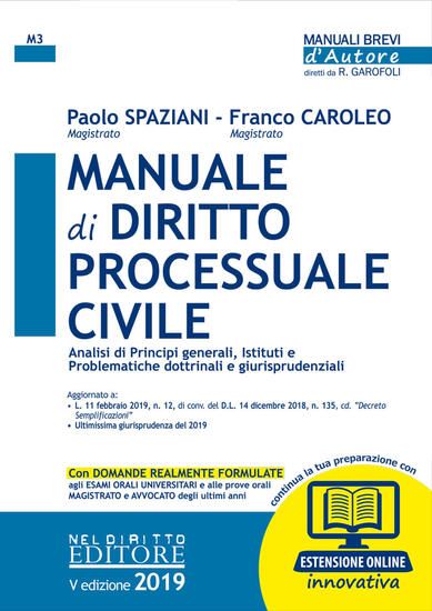 Immagine di MANUALE DI DIRITTO PROCESSUALE CIVILE 2019