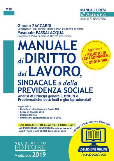 Immagine di MANUALE DI DIRITTO DEL LAVORO, SINDACALE E DELLA PREVIDENZA SOCIALE 2019