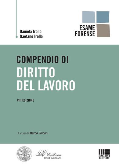 Immagine di COMPENDIO DI DIRITTO DEL LAVORO 2019