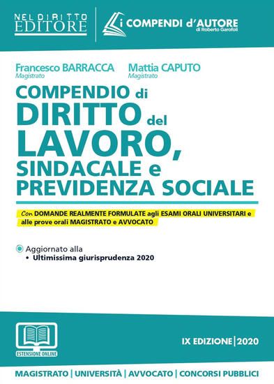 Immagine di COMPENDIO DI DIRITTO DEL LAVORO, SINDACALE E PREVIDENZA SOCIALE 2020