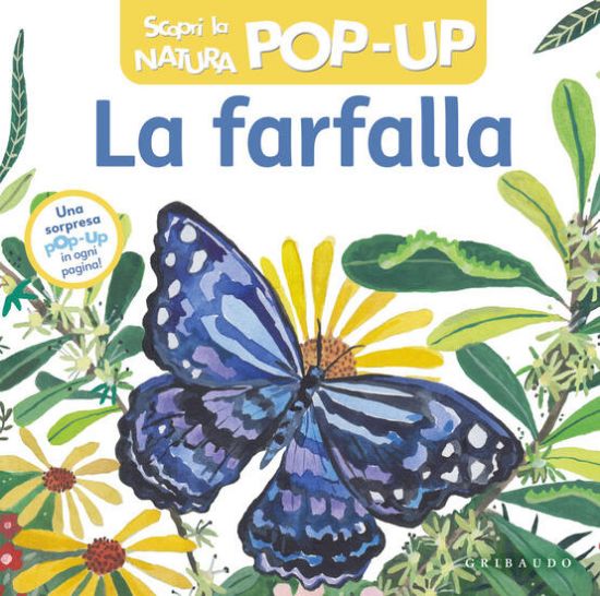 Immagine di FARFALLA. SCOPRI LA NATURA POP-UP. EDIZ. A COLORI (LA)