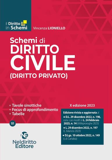 Immagine di SCHEMI DI DIRITTO CIVILE (DIRITTO PRIVATO) 2023