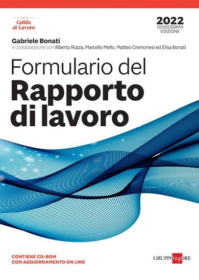 Immagine di FORMULARIO DEL RAPPORTO DI LAVORO 2022. CON CD-ROM