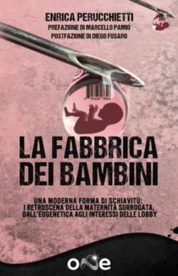 Immagine di FABBRICA DEI BAMBINI ( LA )