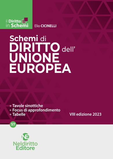 Immagine di SCHEMI DI DIRITTO DELL`UNIONE EUROPEA 2023