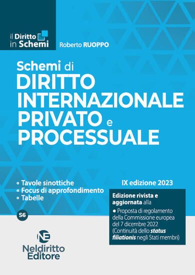 Immagine di SCHEMI DI DIRITTO INTERNAZIONALE PRIVATO E PROCESSUALE 2023