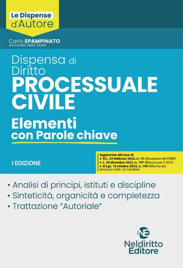 Immagine di DISPENSA DI DIRITTO PROCESSUALE CIVILE. ELEMENTI CON PAROLE CHIAVE 2023