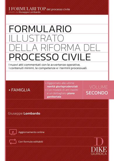 Immagine di FORMULARIO ILLUSTRATO DELLA RIFORMA DEL PROCESSO CIVILE- FAMIGLIA - VOLUME 2