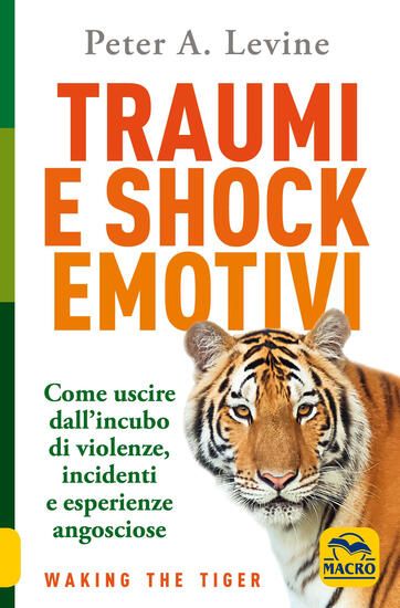 Immagine di TRAUMI E SHOCK EMOTIVI. COME USCIRE DALL`INCUBO DI VIOLENZE, INCIDENTI E ESPERIENZE ANGOSCIOSE. ...