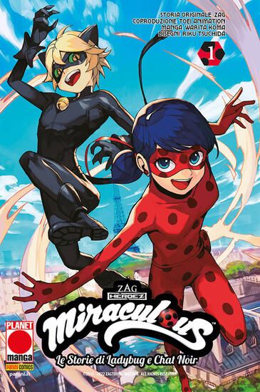 Immagine di MIRACULOUS. LE STORIE DI LADYBUG E CHAT NOIR