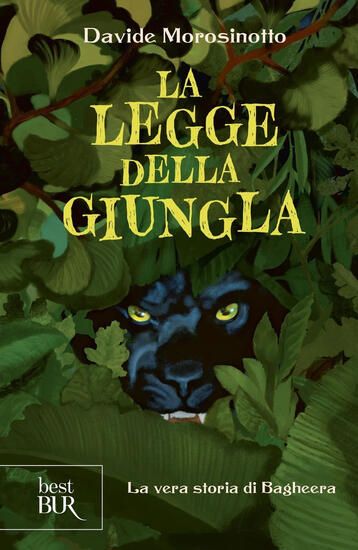 Immagine di LEGGE DELLA GIUNGLA. LA VERA STORIA DI BAGHEERA (LA)