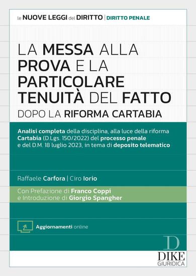 Immagine di MESSA ALLA PROVA E LA PARTICOLARE TENUITA` DEL FATTO DOPO LA RIFORMA CARTABIA CON AGGIORNAMENTO LA