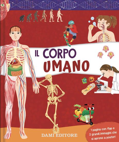 Immagine di CORPO UMANO. EDIZ. A COLORI (IL)