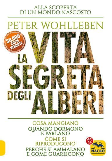 Immagine di VITA SEGRETA DEGLI ALBERI. COSA MANGIANO. QUANDO DORMONO E PARLANO. COME SI RIPRODUCONO. PERCHE` SI