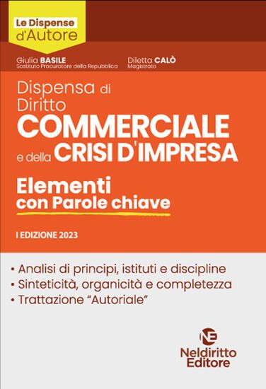 Immagine di DIRITTO COMMERCIALE E DELLA CRISI DI IMPRESA. ELEMENTI CON PAROLE CHIAVE 2023