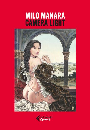 Immagine di CAMERA LIGHT. EDIZ. ILLUSTRATA. CON 24 STAMPE CON TIMBRO A SECCO