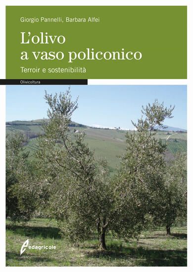 Immagine di OLIVO A VASO POLICONICO. TERROIR E SOSTENIBILITA` (L`)