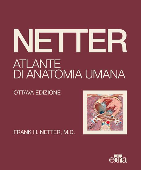 Immagine di NETTER. ATLANTE DI ANATOMIA UMANA