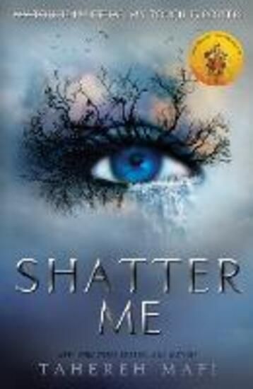 Immagine di SHATTER ME