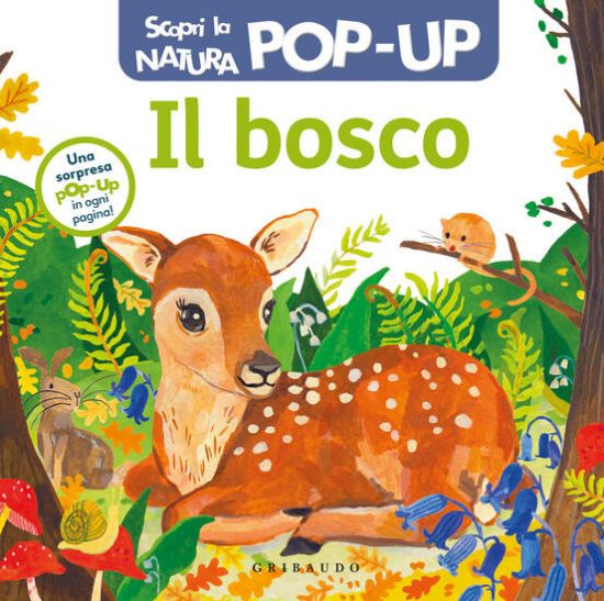 Immagine di BOSCO. SCOPRI LA NATURA POP UP. EDIZ. A COLORI (IL)