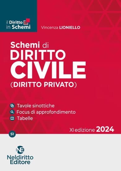 Immagine di SCHEMI DI DIRITTO CIVILE (DIRITTO PRIVATO). NUOVA EDIZ.2024