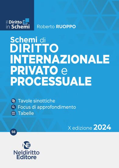 Immagine di SCHEMI DI DIRITTO INTERNAZIONALE PROVATO E PROCESSUALE