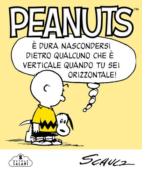 Immagine di PEANUTS