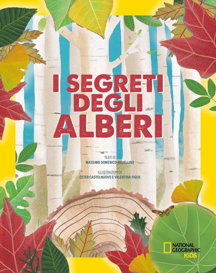 Immagine di SEGRETI DEGLI ALBERI (I)